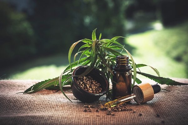Huiles de cbd en belgique : bienfaits et options à découvrir